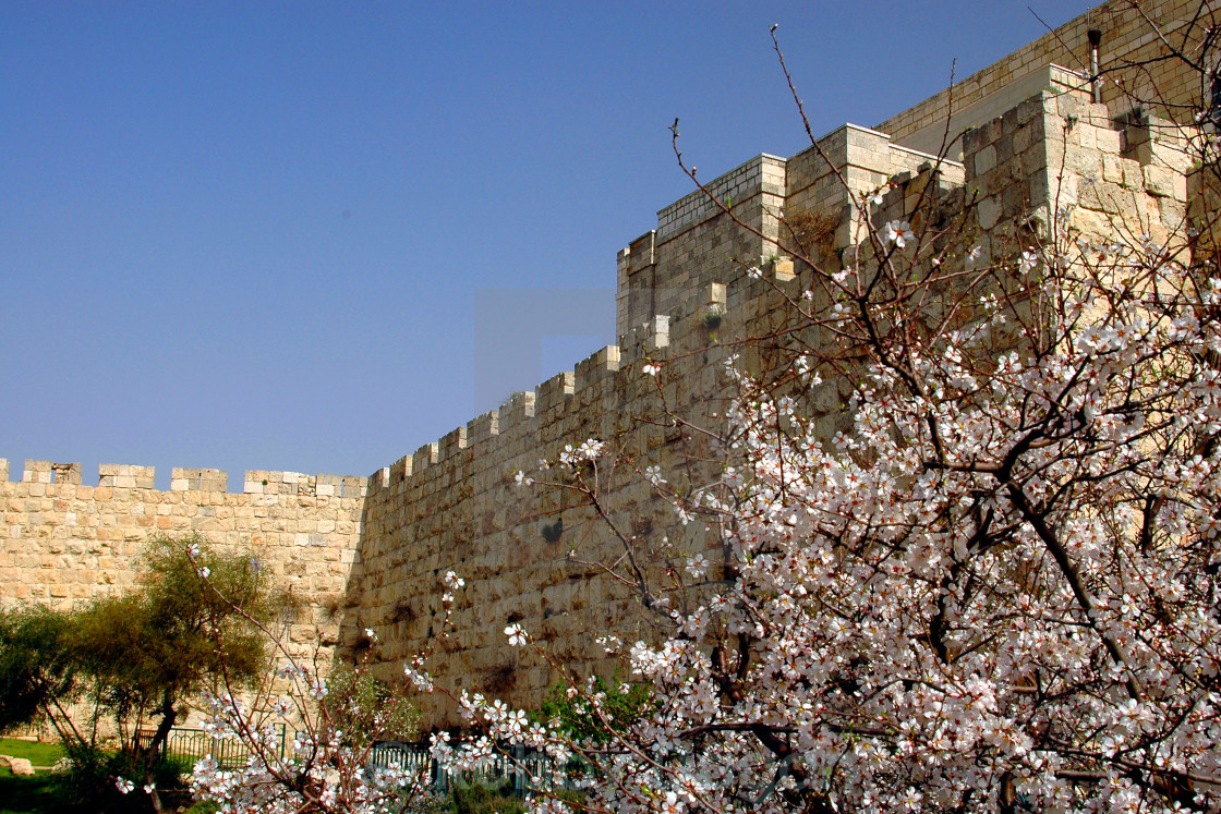 израиль весной